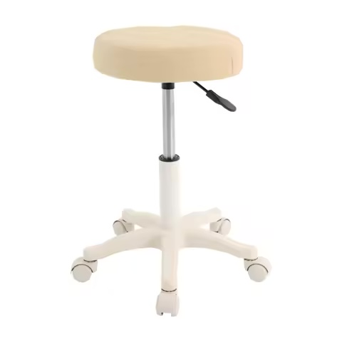Adjustable Salon Stool